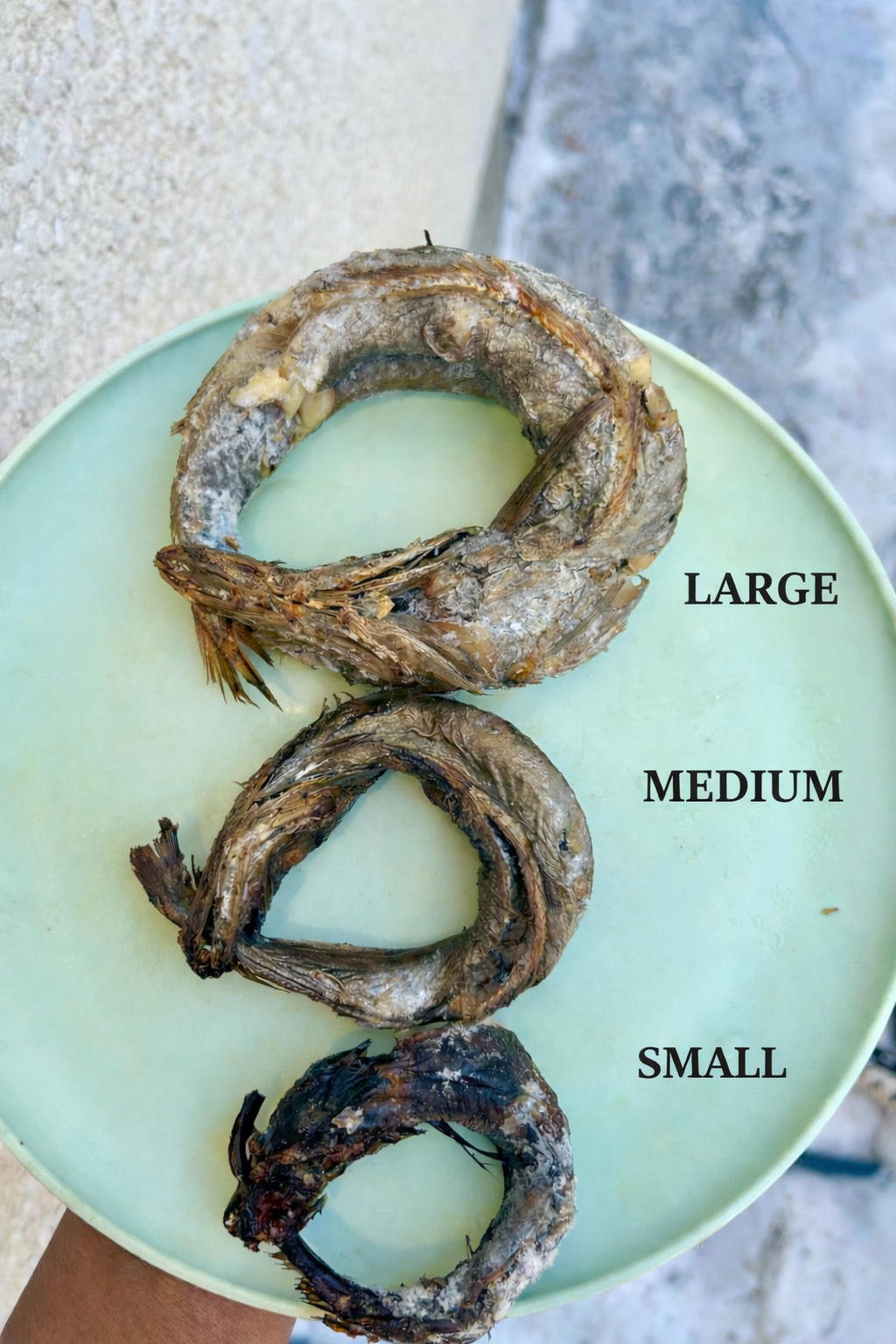 B-10 pcs Lightly Smoked Soft Panla fish