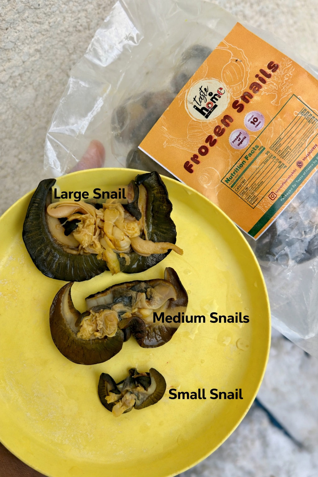 C-50 pieces Fresh Small African Bush Snails