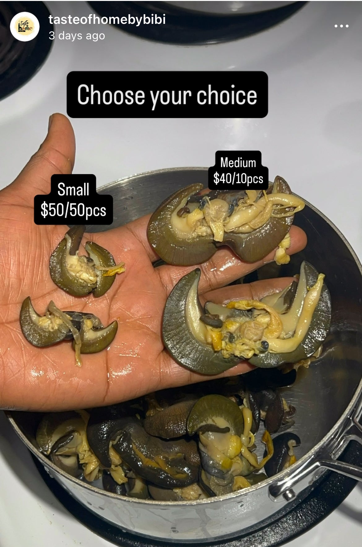 B-50 pieces Fresh Small African Bush Snails