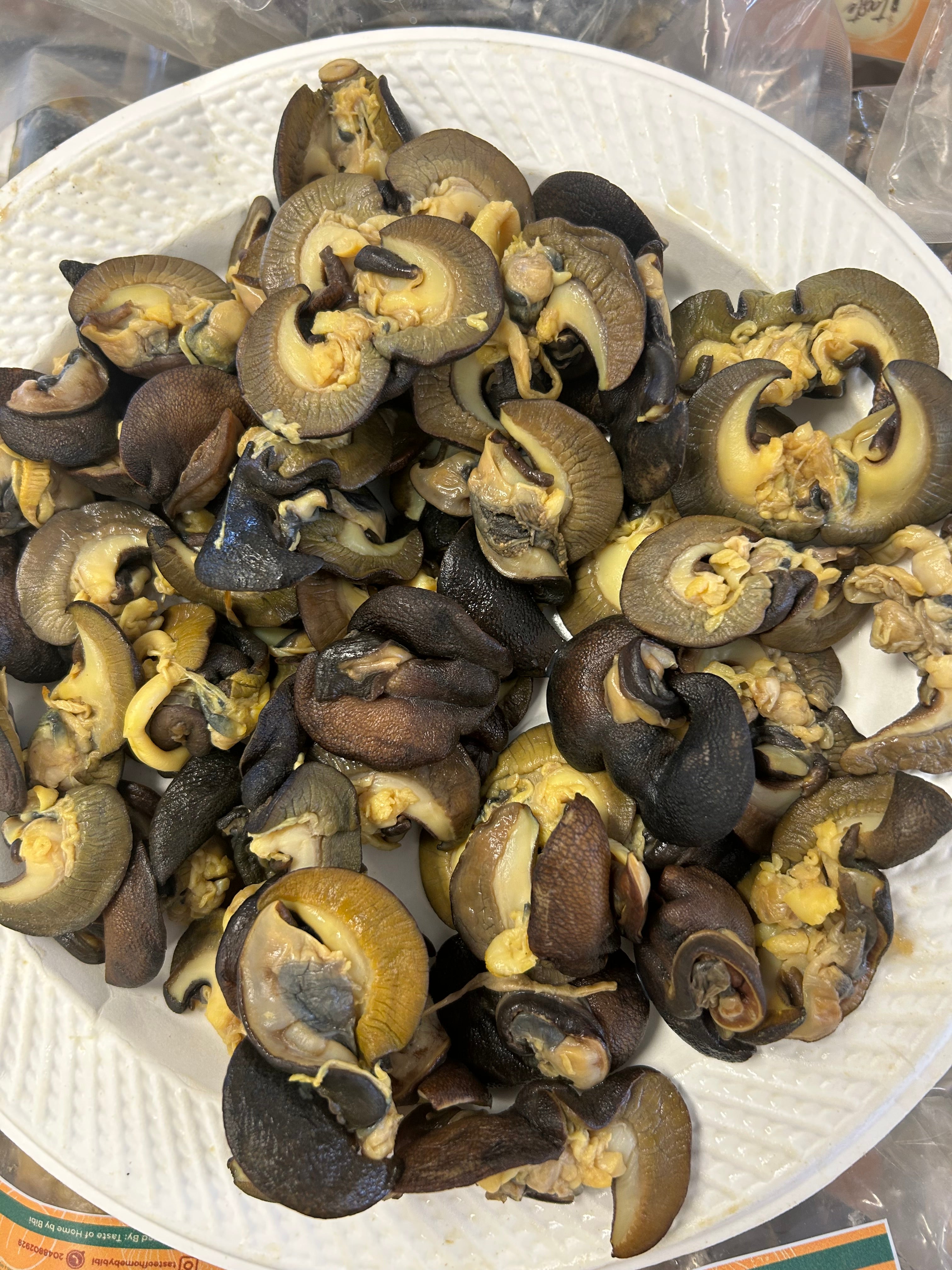 C-50 pieces Fresh Small African Bush Snails