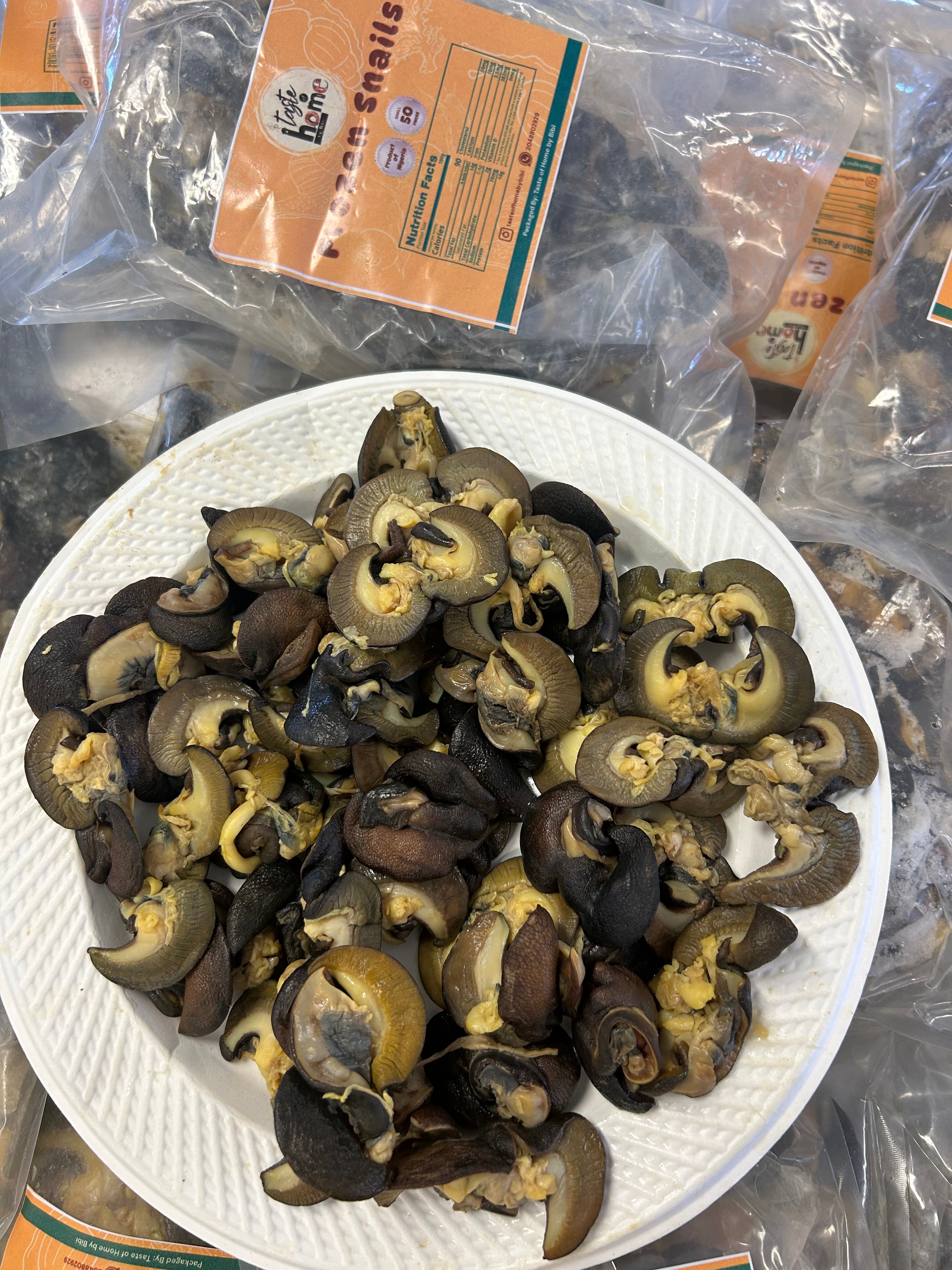 C-50 pieces Fresh Small African Bush Snails