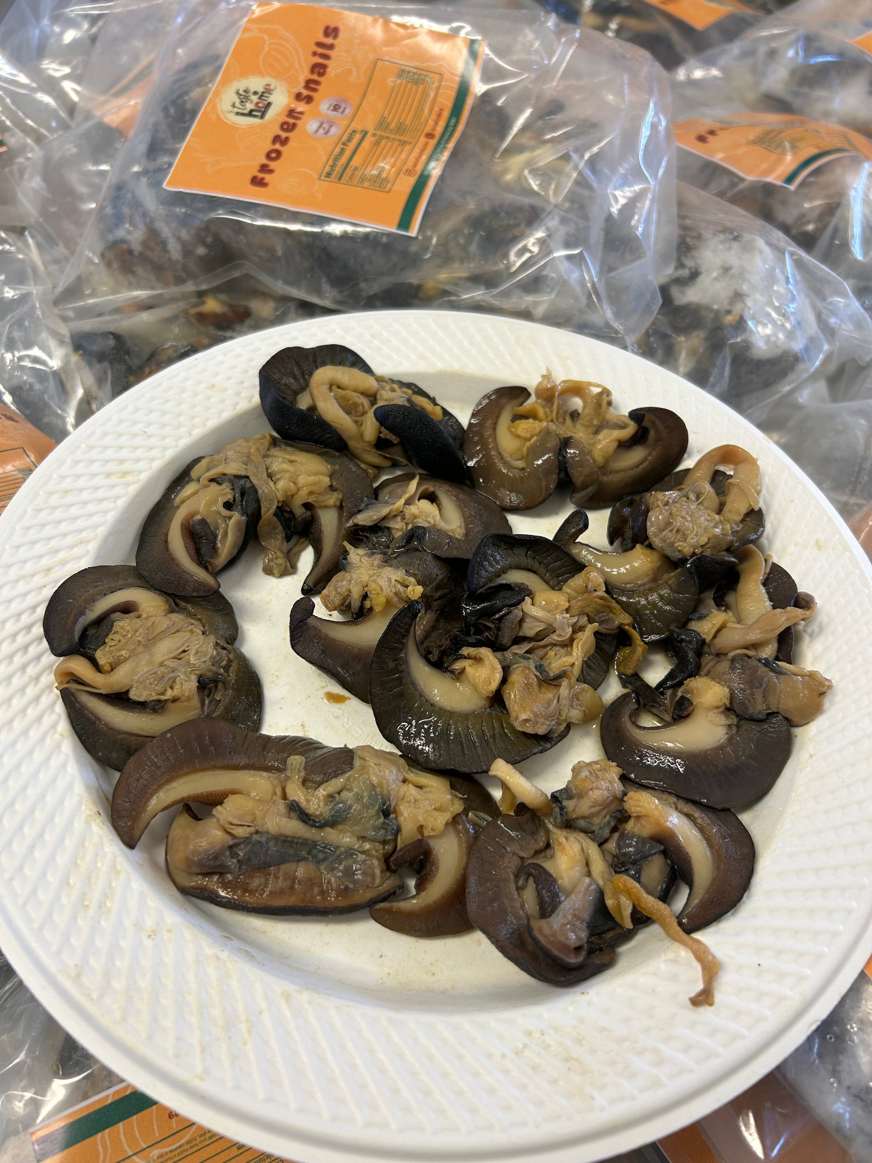 A-10pcs Medium African Bush Snails – Fresh Nigerian Snails, Clean and Ready to Cook (Winnipeg, Canada)
