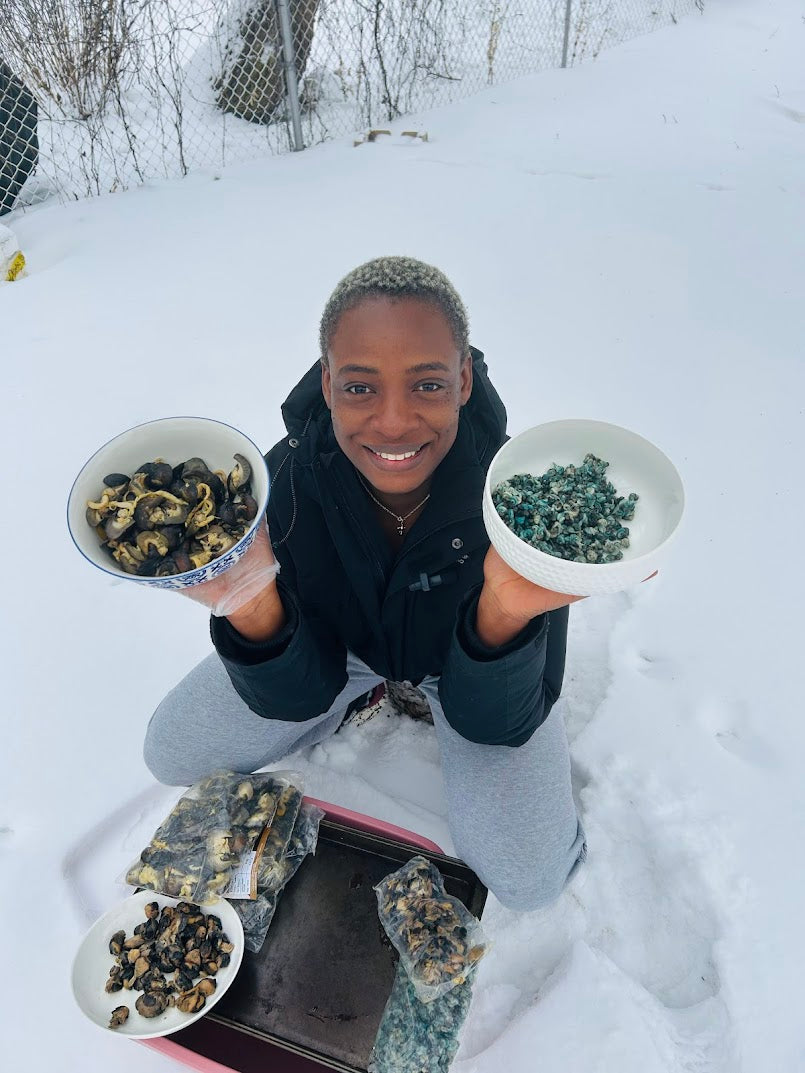 Seafood periwinkle for Nigerian, Ghanaian, Cameroonian dishes Canada