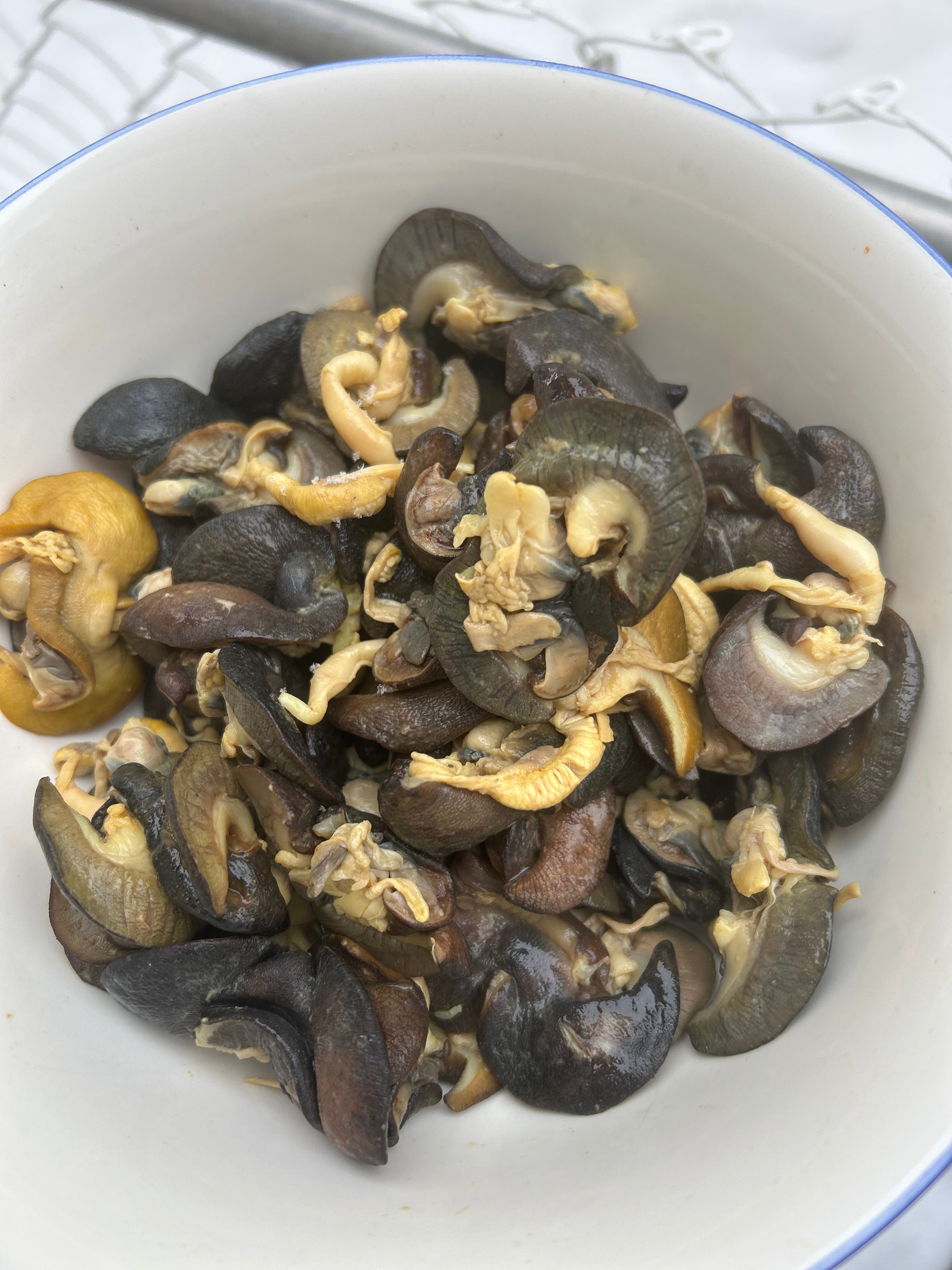 B-50 pieces Fresh Small African Bush Snails