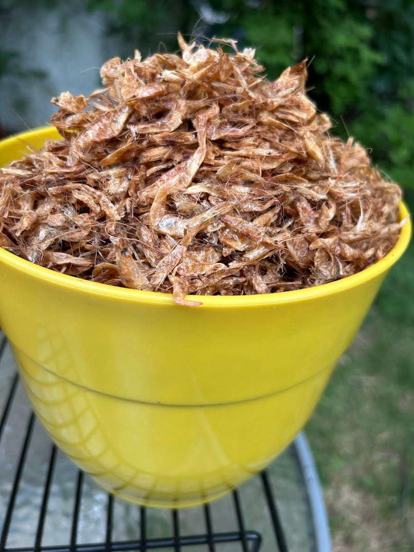 Buy crayfish in Winnipeg – Oron crayfish cleaned and dried