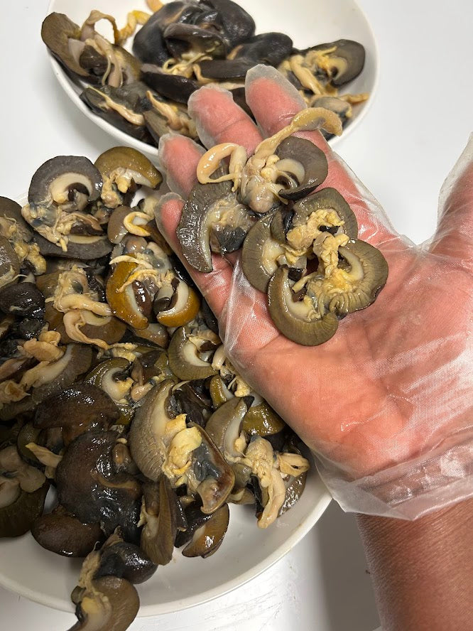 B-50 pieces Fresh Small African Bush Snails
