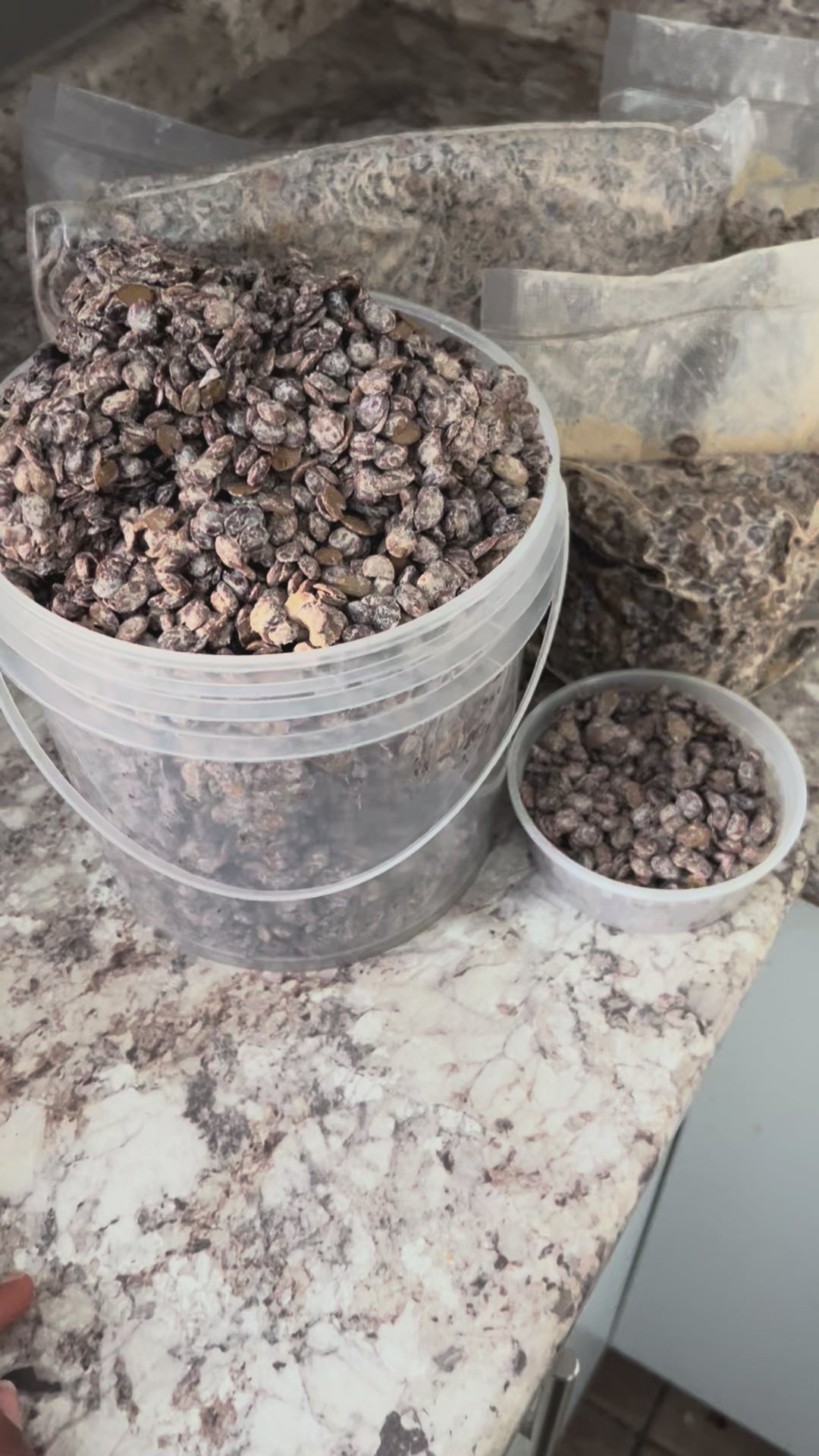 Fermented locust beans for stews and soups – Taste of Home by Bibi Canada