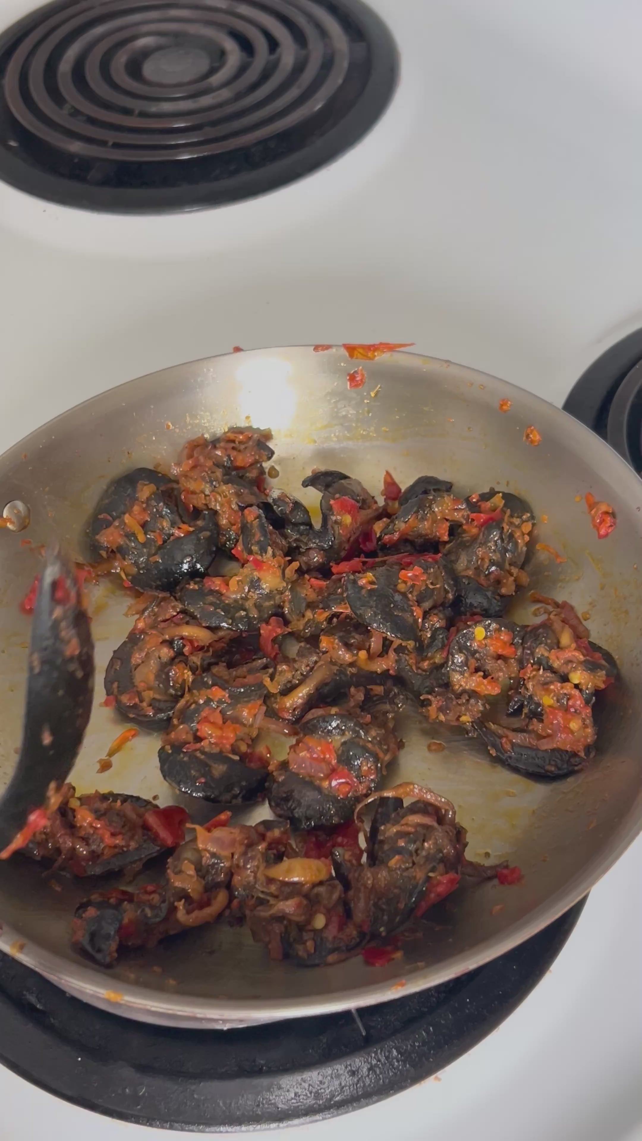 A-10pcs Medium African Bush Snails – Fresh Nigerian Snails, Clean and Ready to Cook (Winnipeg, Canada)