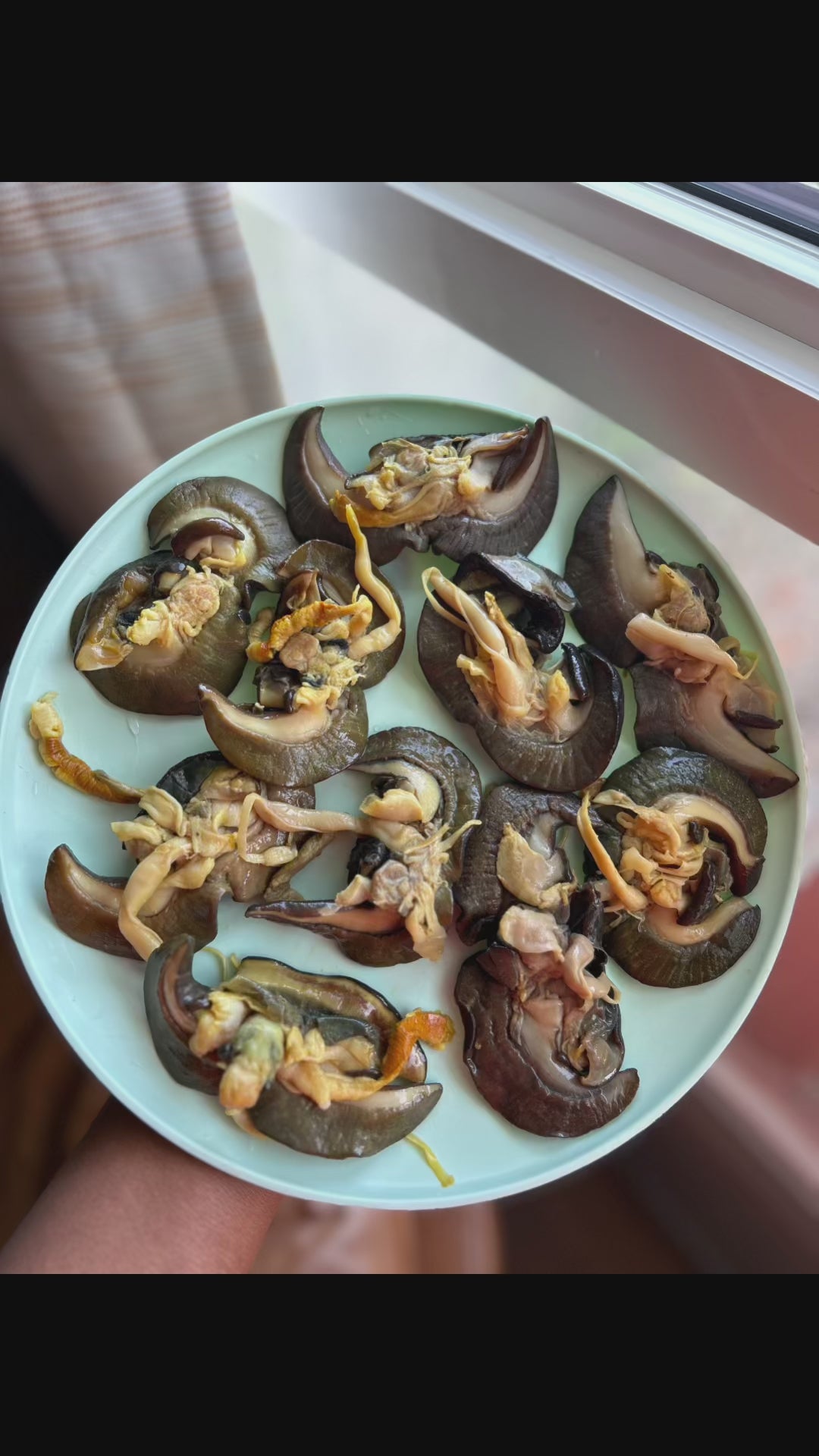 F-10pcs Medium African Bush Snails – Fresh Nigerian Snails, Clean and Ready to Cook (Winnipeg, Canada)