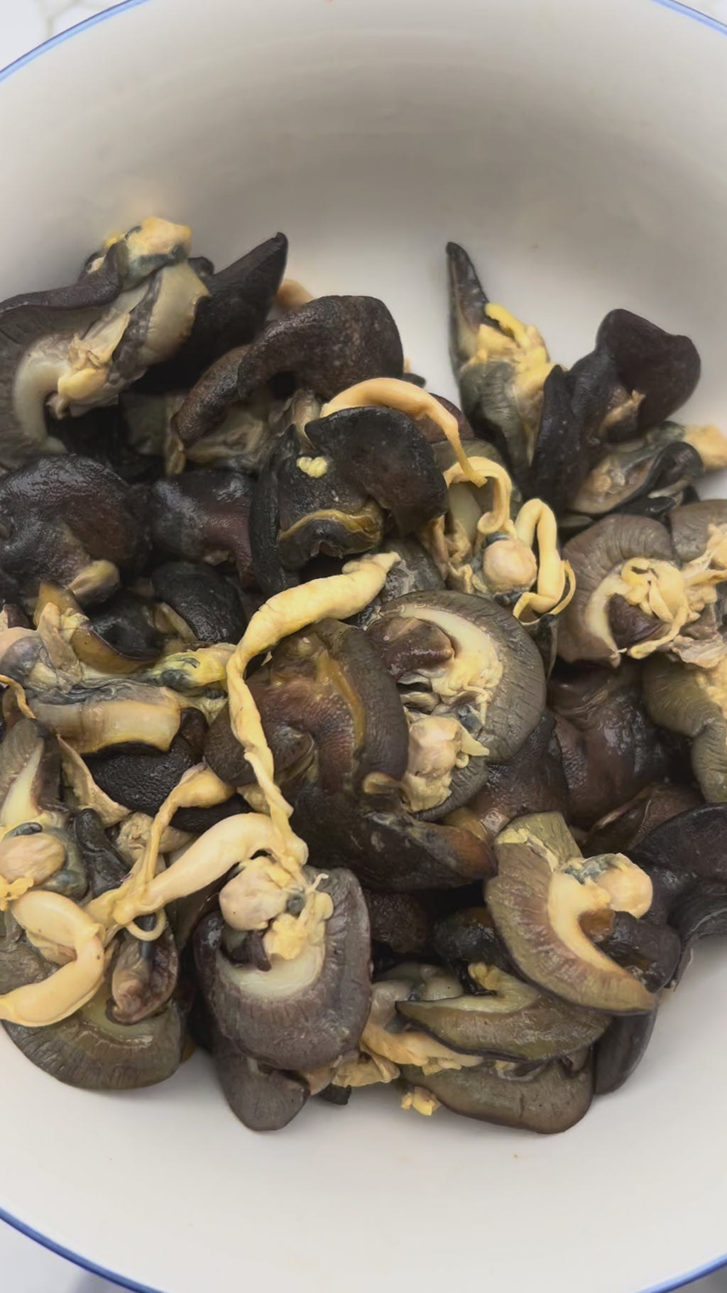 B-50 pieces Fresh Small African Bush Snails