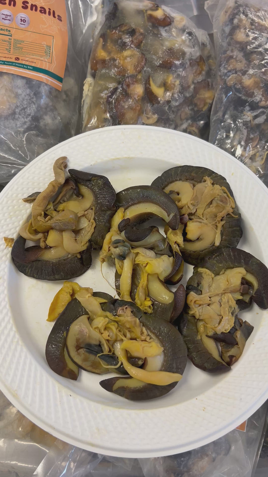 D-5 pcs Nigerian Large size Snails in Canada | Large African Bush Snails Winnipeg Canada