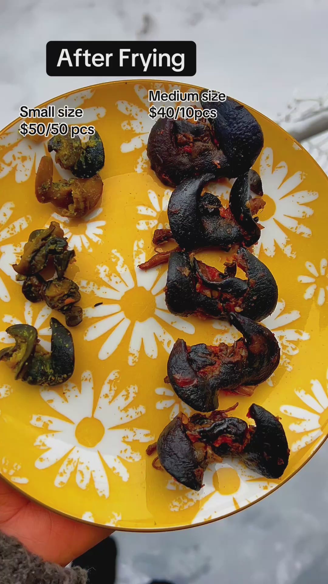 A-10pcs Medium African Bush Snails – Fresh Nigerian Snails, Clean and Ready to Cook (Winnipeg, Canada)