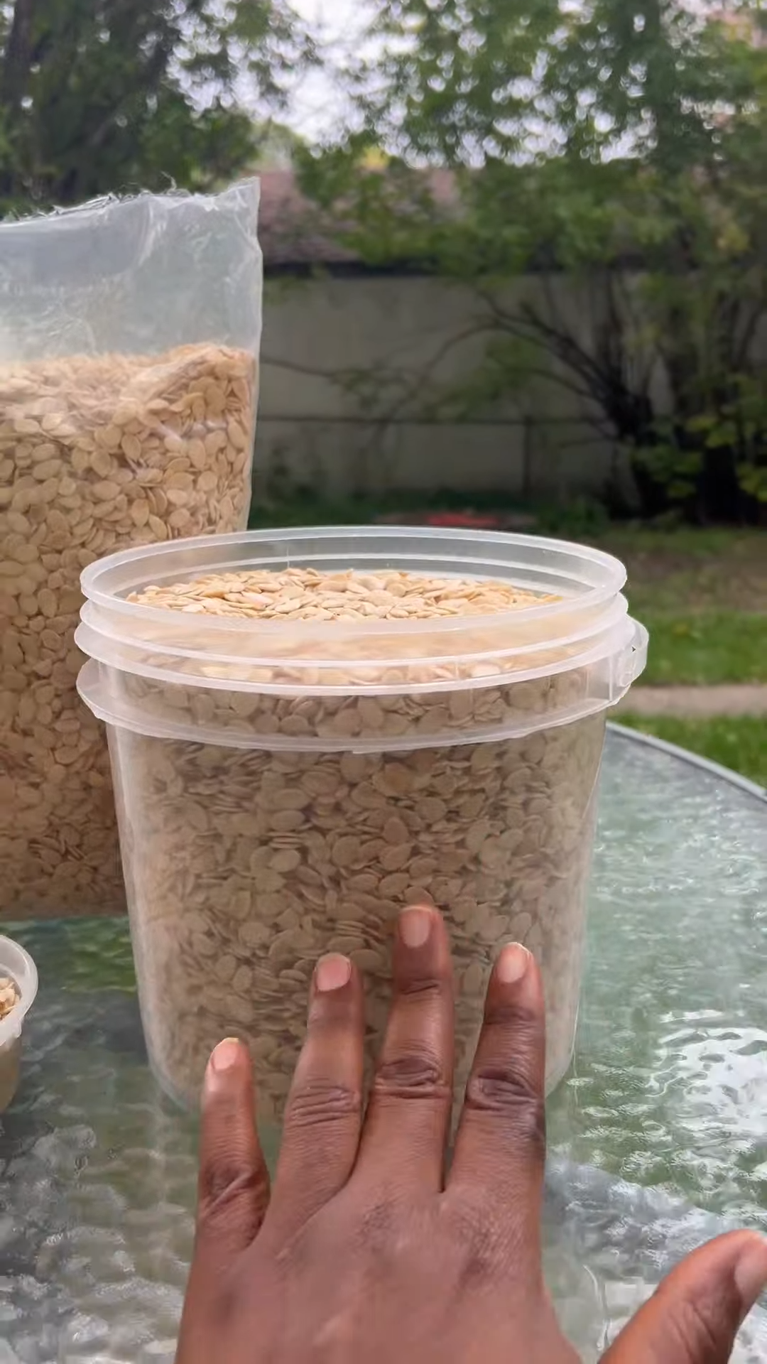 Clean hand-peeled melon seeds ready for egusi soup